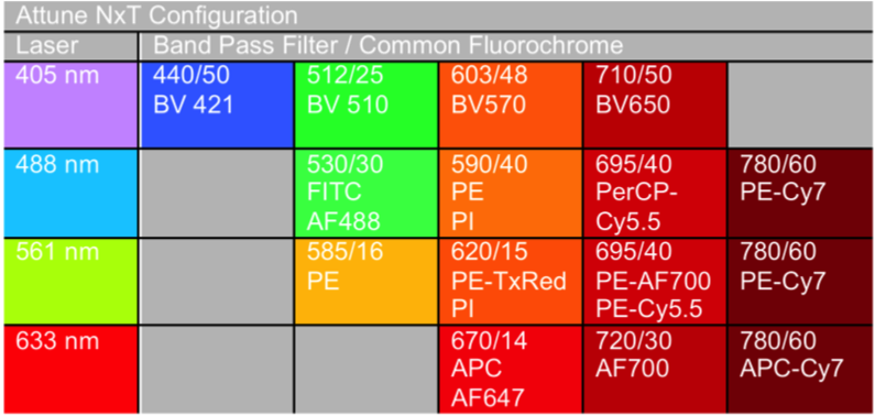 Optical Light Configuration of Attune NxT