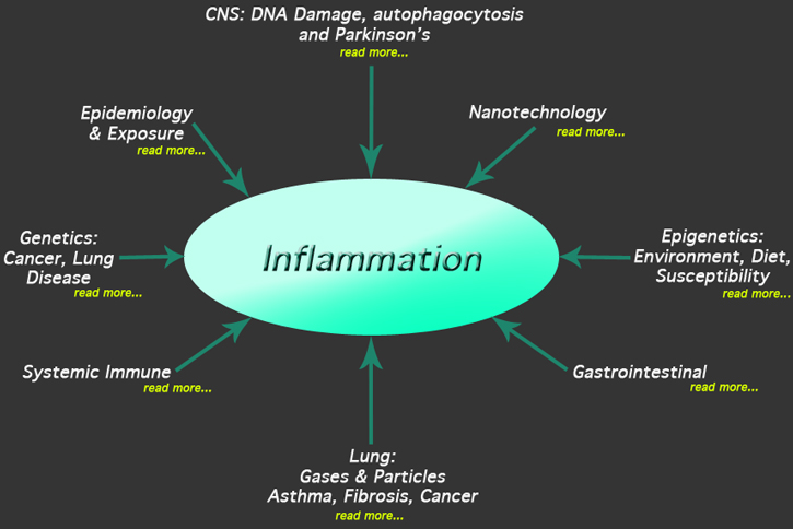 Research Emphasis Categories at the Center for Environmental Health Sciences at the University of Montana